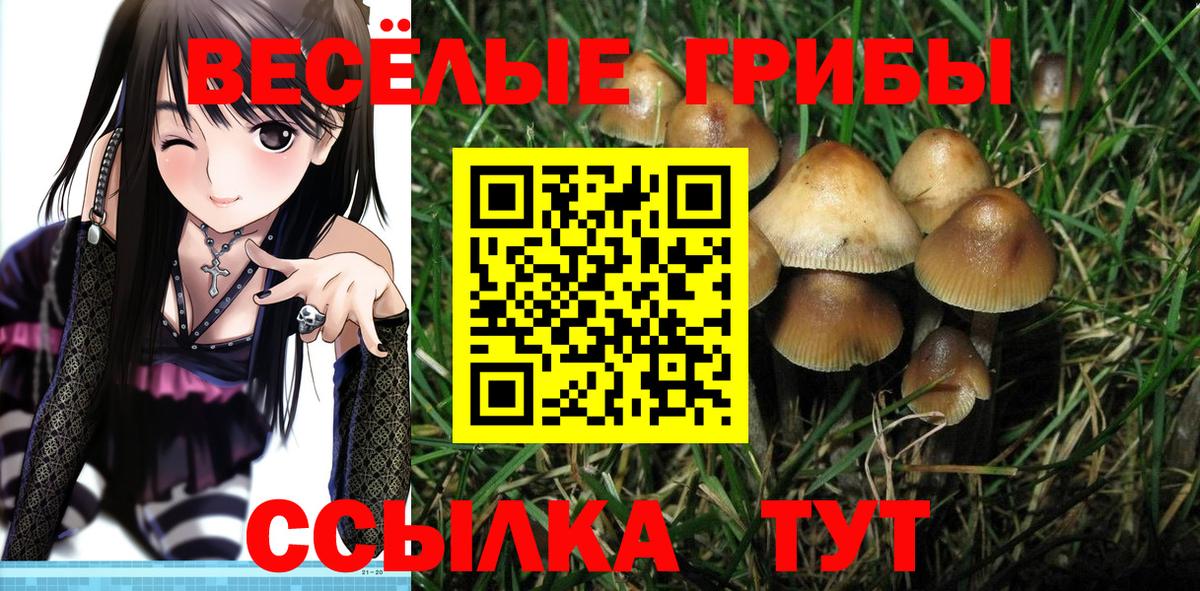 наркота  Галлюциногенные грибы MAGIC MUSHROOMS  Вход с VPN  Галлюциногенные грибы MAGIC MUSHROOMS  Нижневартовск 